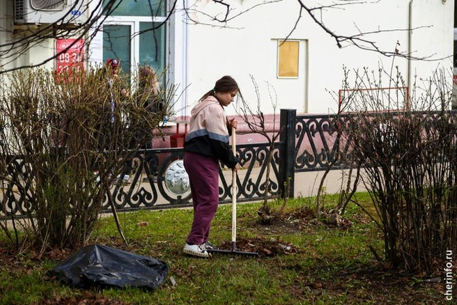 Источник: st.cherinfo.ru