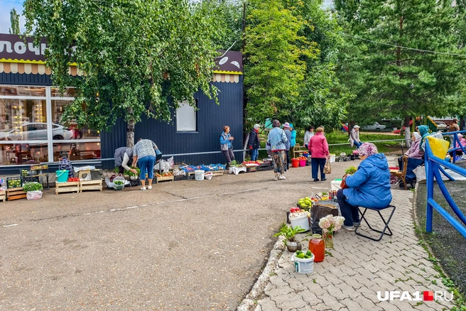 Организовали небольшой рынок | Источник: Булат Салихов / UFA1.RU