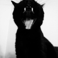 Аватарка kira