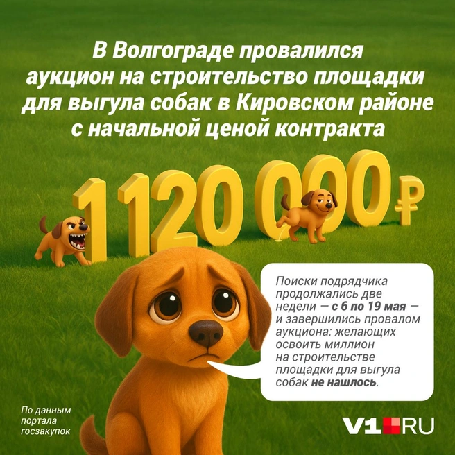 Источник: Полина Авдошина / V1.RU