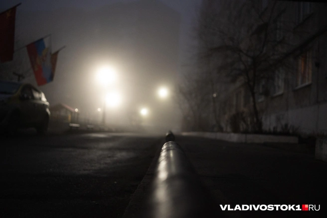 Источник: Елена Буйвол / VLADIVOSTOK1.RU