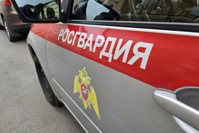 Ссора в ресторане в центре Петербурга закончилась задержанием: девушку нашли в подвале | Источник: ГУ Росгвардии по г.Санкт-Петербургу и Ленинградской области