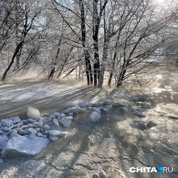 Источник: Александр Хамраев / CHITA.RU
