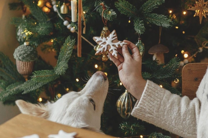 Источник: Bogdan Sonjachnyj/Shutterstock/Fotodom.ru