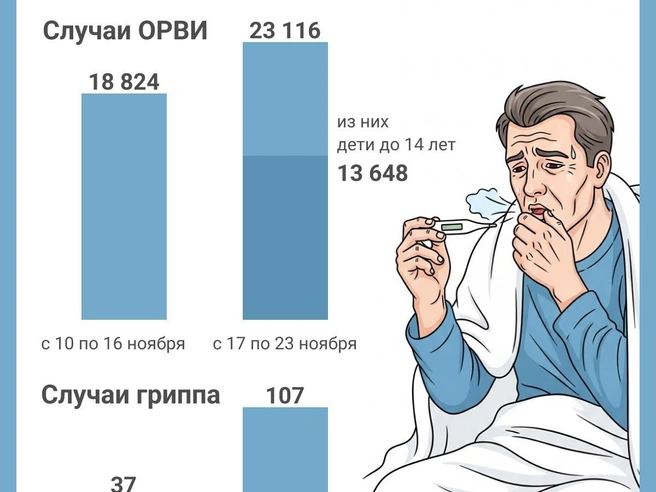 Количество подтверждённых случаев гриппа увеличилось за неделю | Источник: Юрий Орлов / Городские медиа