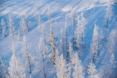 В Ямальском районе объявлено штормовое предупреждение