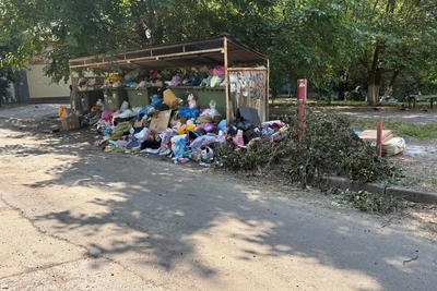 Глава района в Ростове объяснил задержки вывоза мусора нехваткой топлива