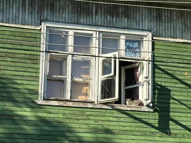 Источник: Алексей Максимов