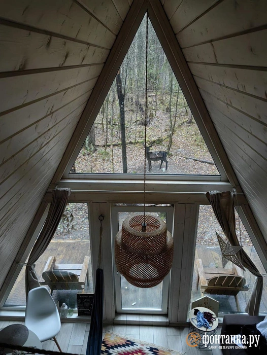 Одной из «фишек» домиков были панорамные окна с видом на лес | Источник: читатель «Фонтанки»