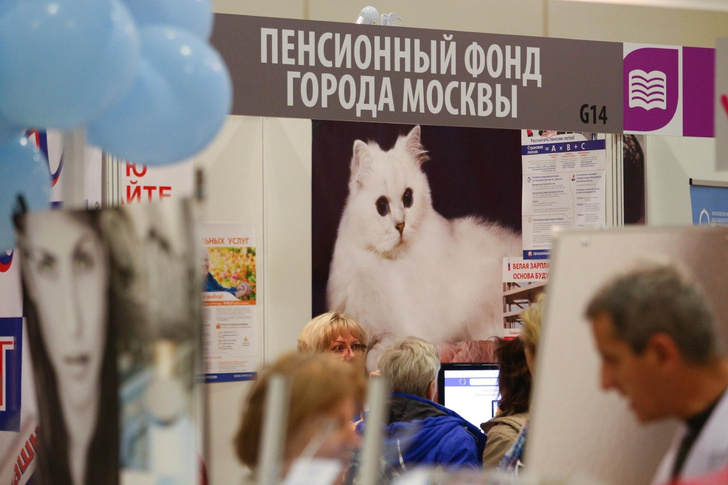 Какой праздник сегодня, 22 декабря 2023, в России и мире
