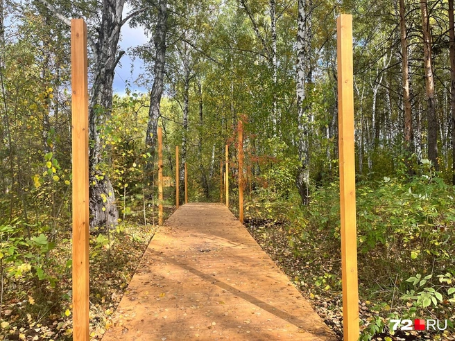 Дорожка очень живописная | Источник: Анатолий Кузнецов / 72.RU