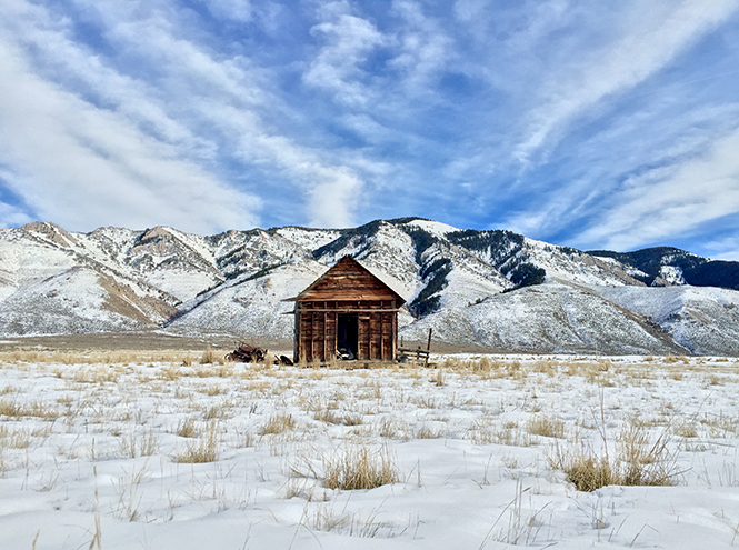 Лучшие фотографии, снятые на iPhone