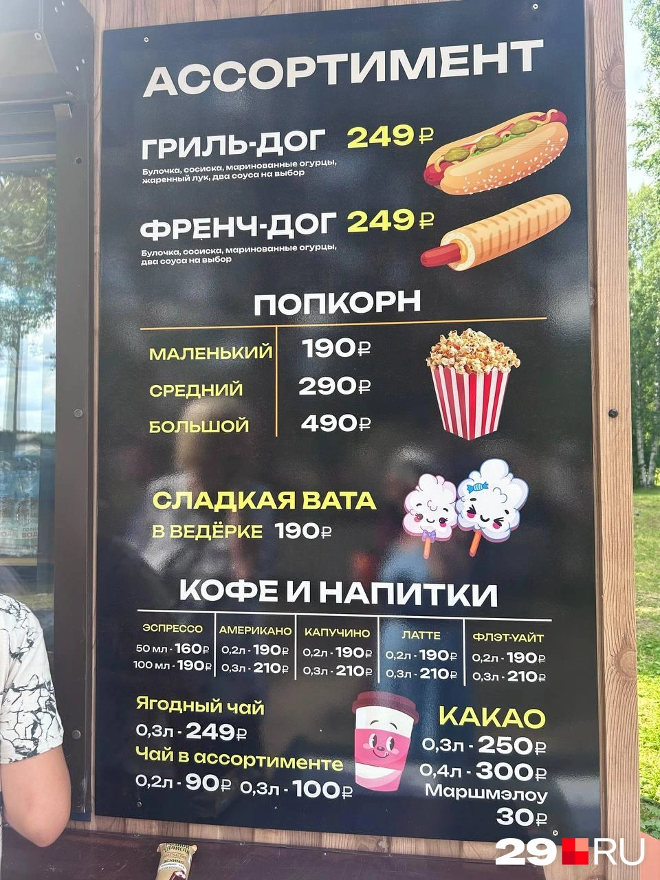 Источник: Кристина Полевая / 29.RU