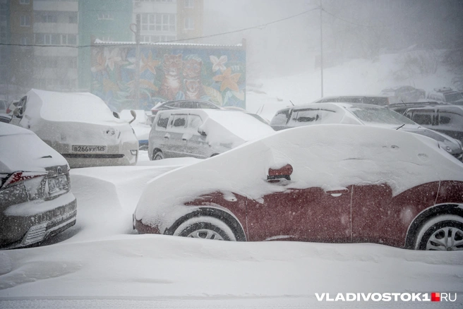 Источник: Елена Буйвол / VLADIVOSTOK1.RU