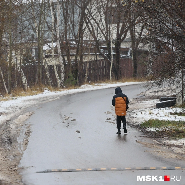 Многие дома по соседству оказались заперты. По словам жителей, большинство приезжают туда лишь летом | Источник: Артем Устюжанин / MSK1.RU