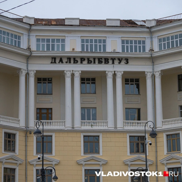 Источник: Елена Буйвол / VLADIVOSTOK1.RU