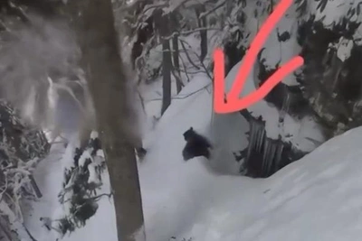 «Андрюха, медведь!»: сноубордисты напугали медведицу в Сочи