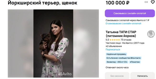 По желанию покупателя возможно чипирование щенка | Источник: Авито