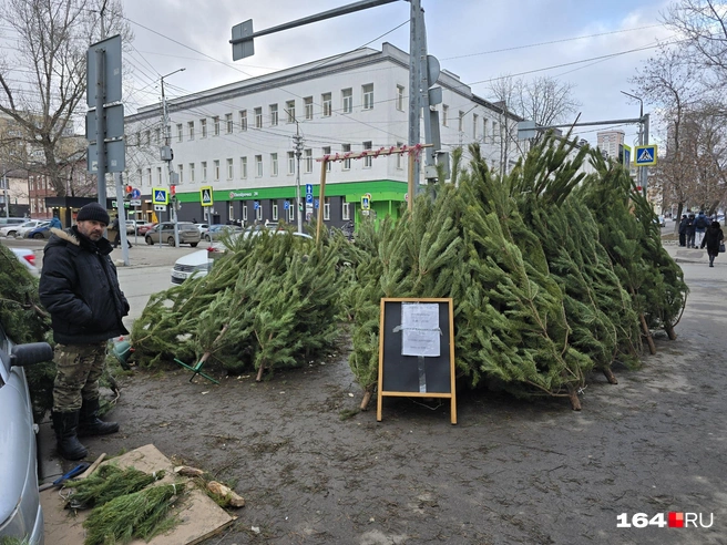 Елки продает торговец Ровшан | Источник: Семен Коротов-Майбах / 164.RU