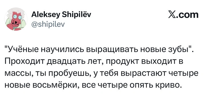 Источник: X (Twitter)