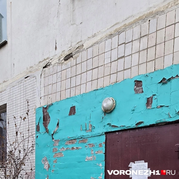 Источник: Читатель Voronezh1.ru