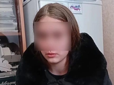 «Закончит жизнь в тюрьме»: соседи описали 14-летнюю девочку и ее парня, зарезавших семью под Омском