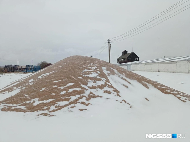 Хранить собранное зачастую негде  | Источник: Сергей Энквист / NGS55.RU 