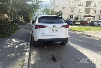 Lexus повредили во дворе в Южно-Сахалинске