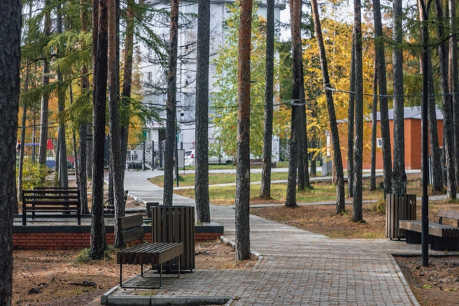 Парк имени Чиряева | Источник: Руслан Симушин / 14.RU