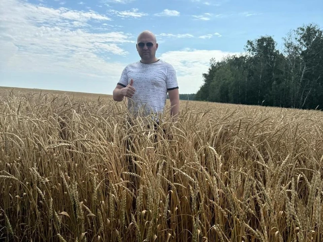 В фермерском хозяйстве КФХ «Трофимов» выращивают сельхозпродукцию для крупных производителей региона, России и даже зарубежья | Источник: Дмитрий Трофимов