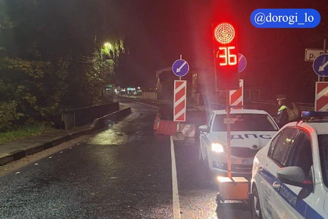 Аварийный мост в Лебяжьем открыли после обследования, но не для всех | Источник: Dorogi_lo