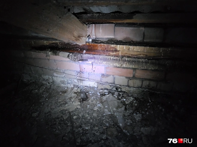 Фото было сделано на чердаке дома | Источник: читательница 76.RU