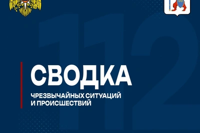 Сводка происшествий в Марий Эл за сутки