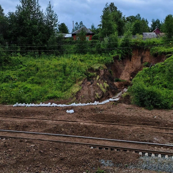 Источник: Родыгин Андрей Викторович / Telegram