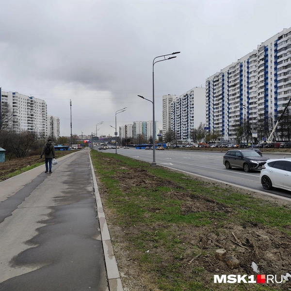 Вырубка деревьев возле парка в Бирюлево Восточном | Источник: Игорь Мещанев / MSK1.RU