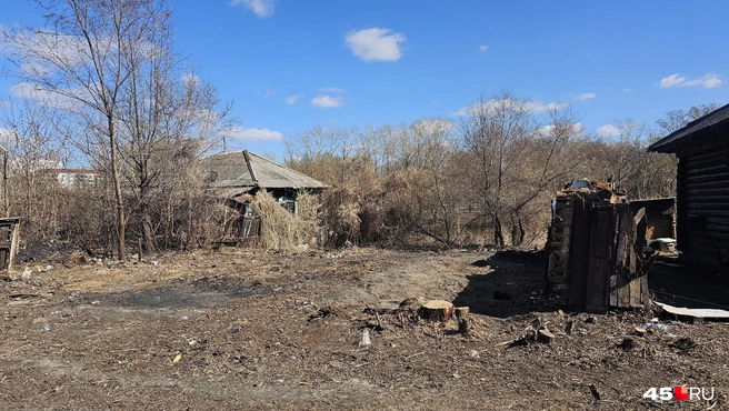 Возле ЦПКиО сделают парковку и дорогу | Источник: Дарья Никитченко / 45.RU