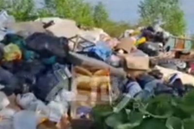 СНТ Южно-Сахалинска захватывает огромная свалка