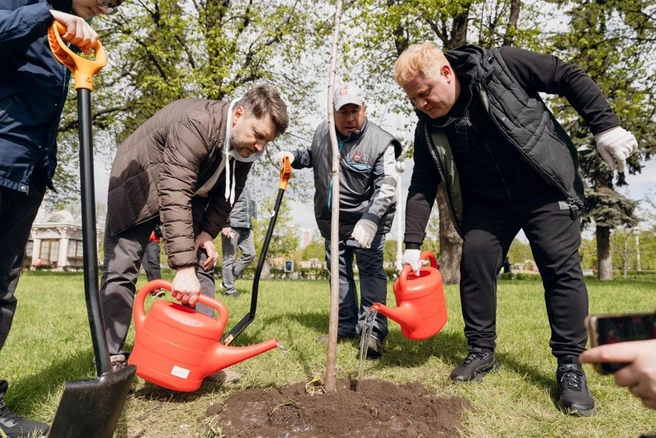 В Москве на ВДНХ в рамках акции высадили саженцы клена | Источник: «Сад памяти»
