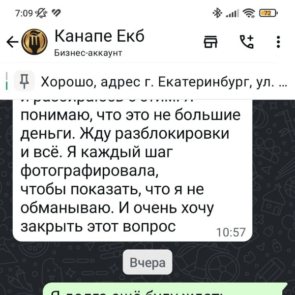 Анна неоднократно подтверждала, что вернет деньги, но этого так и не случилось | Источник: читатель E1.RU