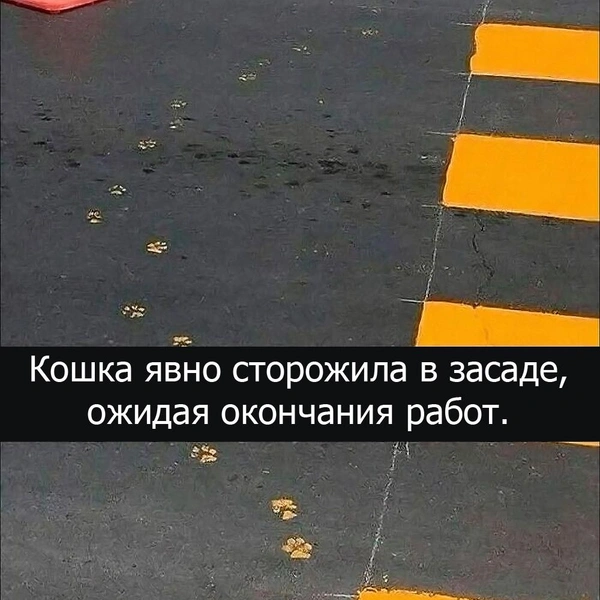 Источник: соцсети