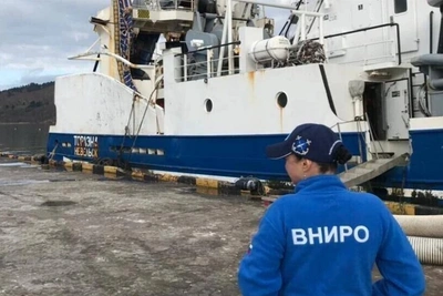 Вылов у Южных Курил вырос более чем втрое