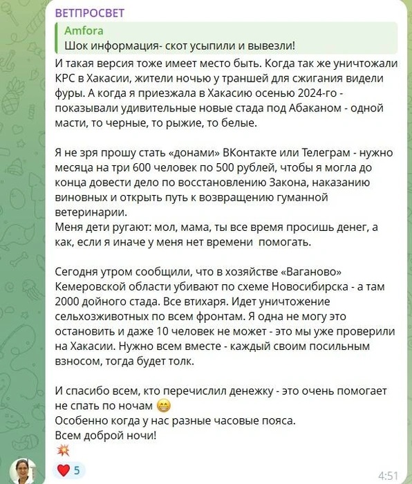 Источник: Ветпросвет / telegram