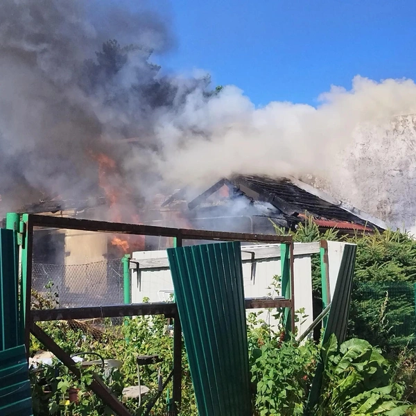 Источник: группа Вконтакте «БОЛЬШАЯ ИЖОРА СОСНОВЫЙ БОР&nbsp;— СПБ Санкт-Петербург»