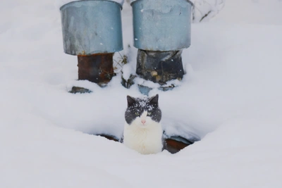 В Архангельской области ночью ударят морозы до -30°