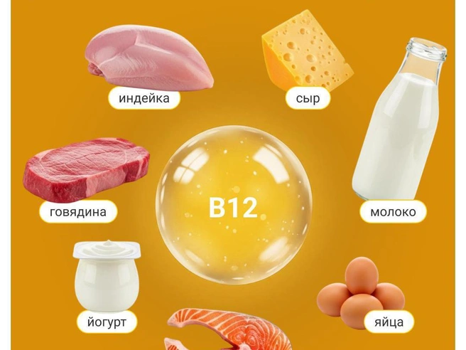 Источники витамина B12 | Источник: Полина Авдошина / Городские медиа