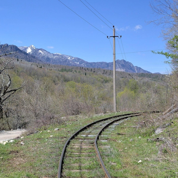 Источник: Alexander Novikov, CC BY-SA 4.0, via Wikimedia Commons