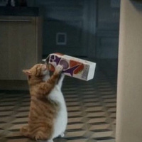 Аватарка 05:05