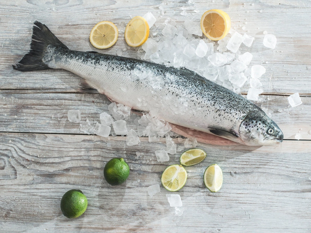 Как правильно размораживать разные продукты | marieclaire.ru