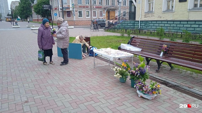 Источник: Юрий Скородумов / 29.RU