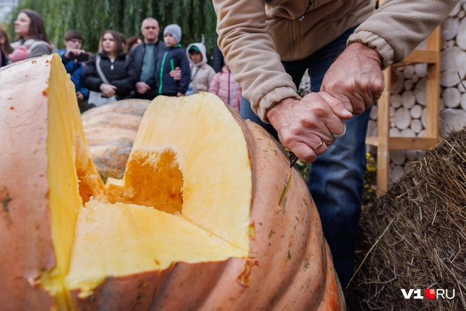 Тем временем нарезка только началась, а каждый ломоть давался всё тяжелее и тяжелее | Источник: Алексей Волхонский / V1.RU
